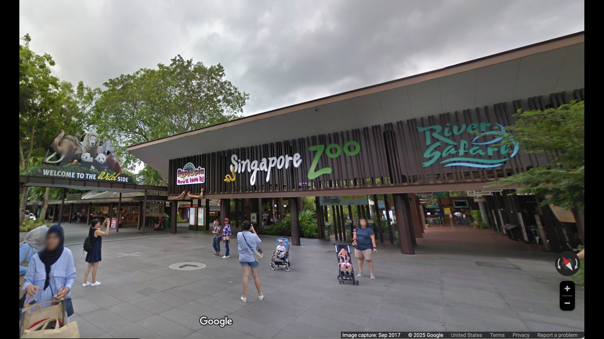 Nearly 1,000 babies, including some endangered species, were born at a Singapore zoo complex in 2024, the organization announced.