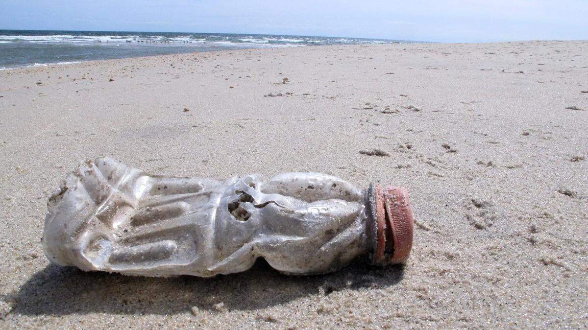 Oceana, an ocean conservation advocacy organization, found evidence that animals from 40 different species swallowed or became entangled in plastic between 2009 and 2020.