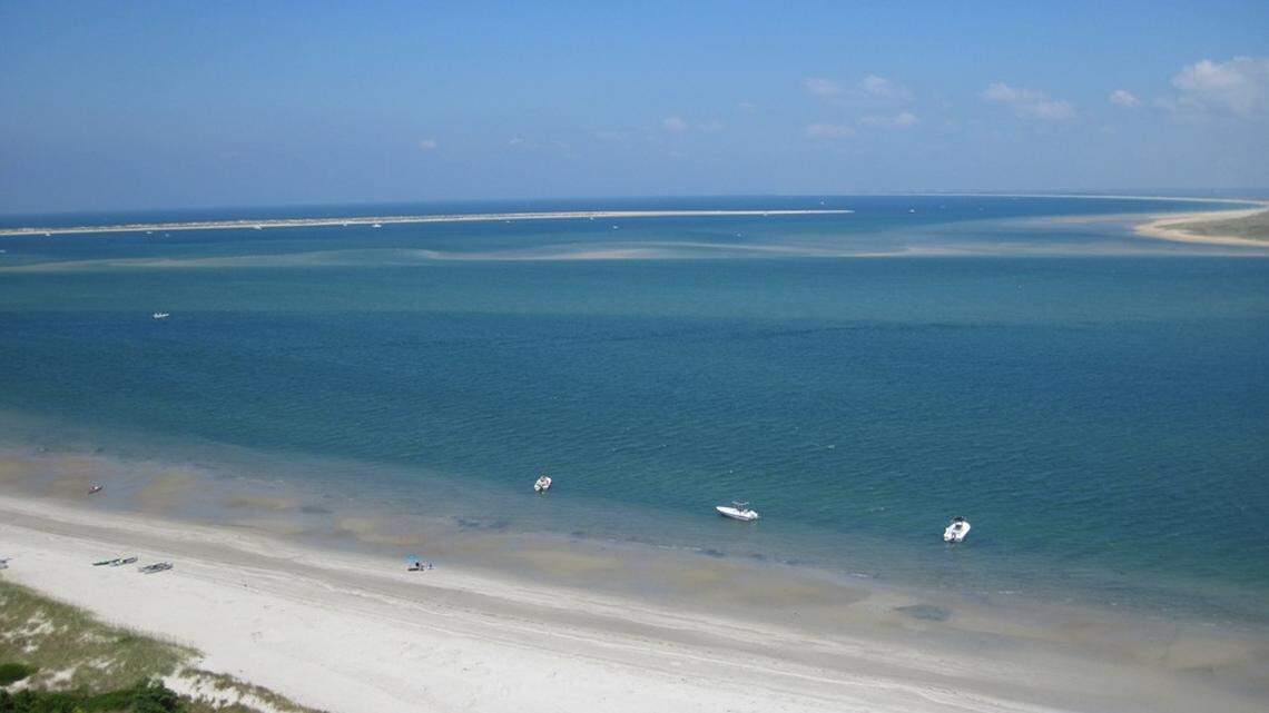 A woman failed to surrender for her prison sentence, and social media posts show she was leading an active social life, prosecutors say.