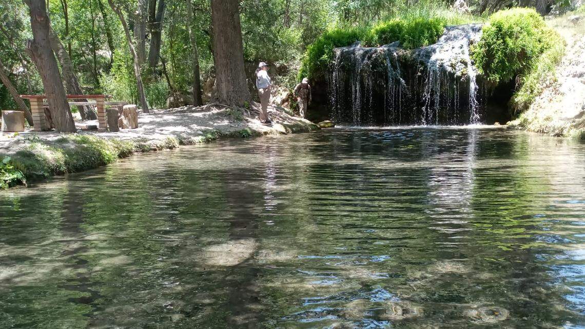 The new species was found in a freshwater spring in a recreational park in Mexico.