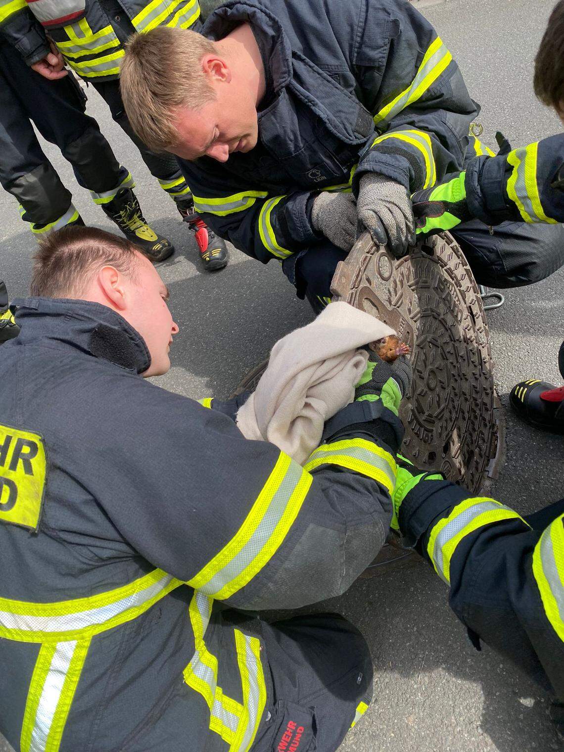 Firefighters look at the trapped squirrel, partially covered by a white scarf.