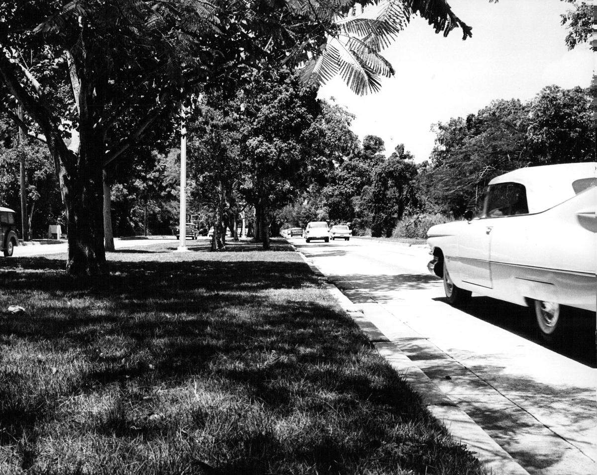 Brickell Avenue in 1961, when mansions lined the road and before the construction of skyscrapers.