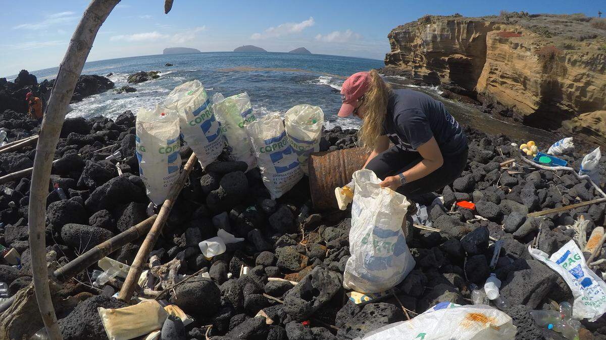 People pick up trash on Ecuador's Galápagos Islands. The world famous reserve is at the confluence of three sea currents that drag the world's garbage to its shores.