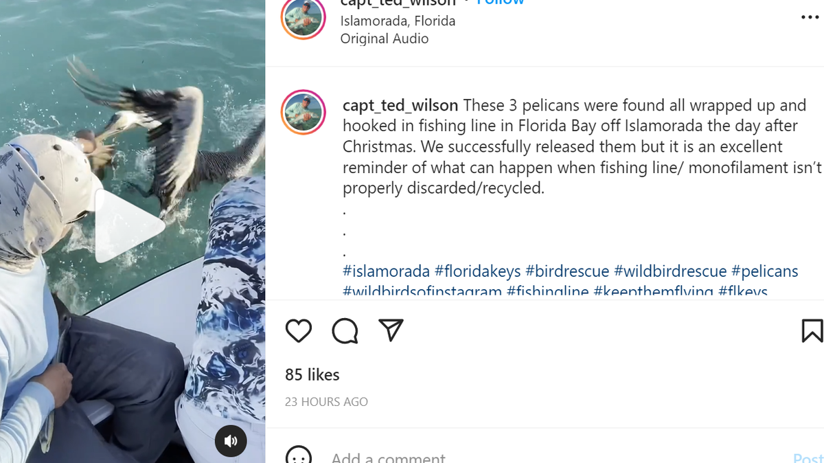 Captain Ted Wilson/Instagram screenshot