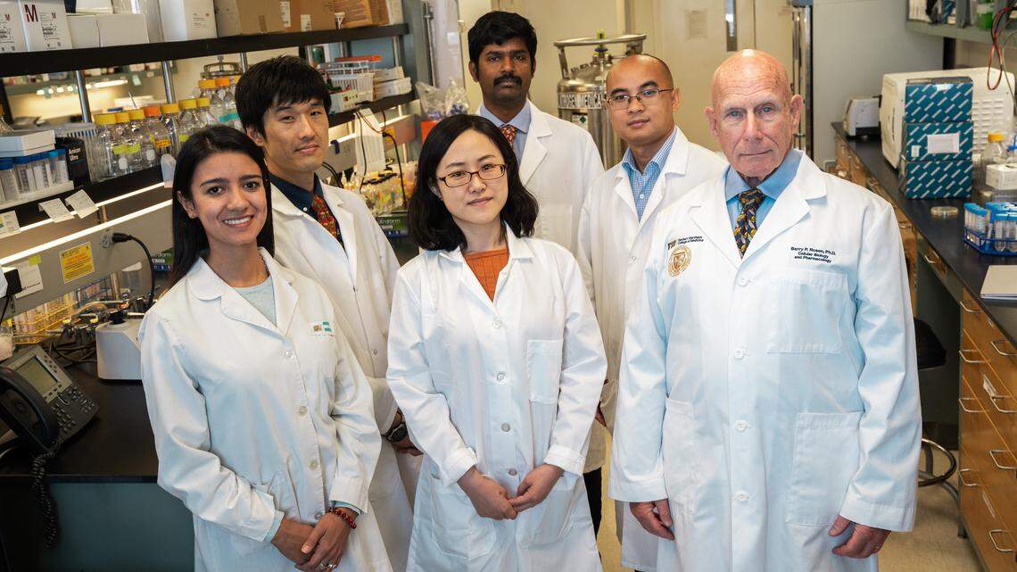 Florida International University’s team of researchers from the Herbert Wertheim College of Medicine, along with a team of scientists in Japan, discovered a new arsenic-based broad-spectrum antibiotic called arsinothricin or AST. FIU researchers are (left-right) Adriana Emilce Galvan, Masafumi Yoshinaga, Kunie Sakurai, Venkadesh Sarkarai Nadar, Jian Chen and Barry Rosen. They were photographed in Rosen’s lab at Herbert Wertheim College of Medicine.