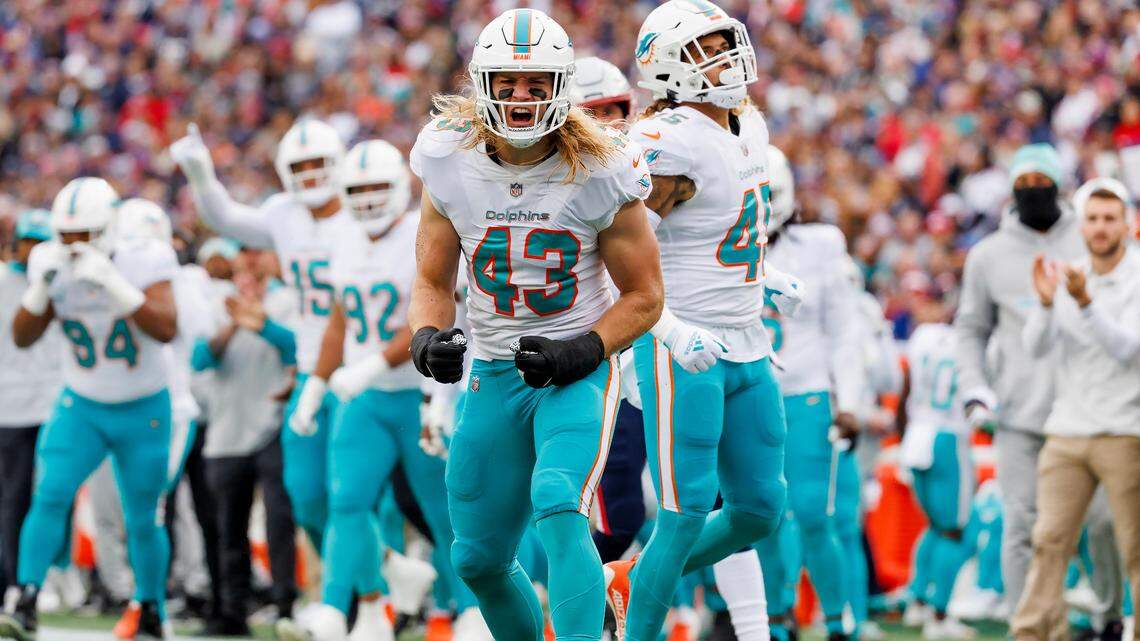 Miami Dolphins linebacker Andrew Van Ginkel (43) reacts after a play during first quarter of an NFL football game against the New England Patriots at Gillette Stadium on Sunday, January 1, 2023 in Foxborough, MA.