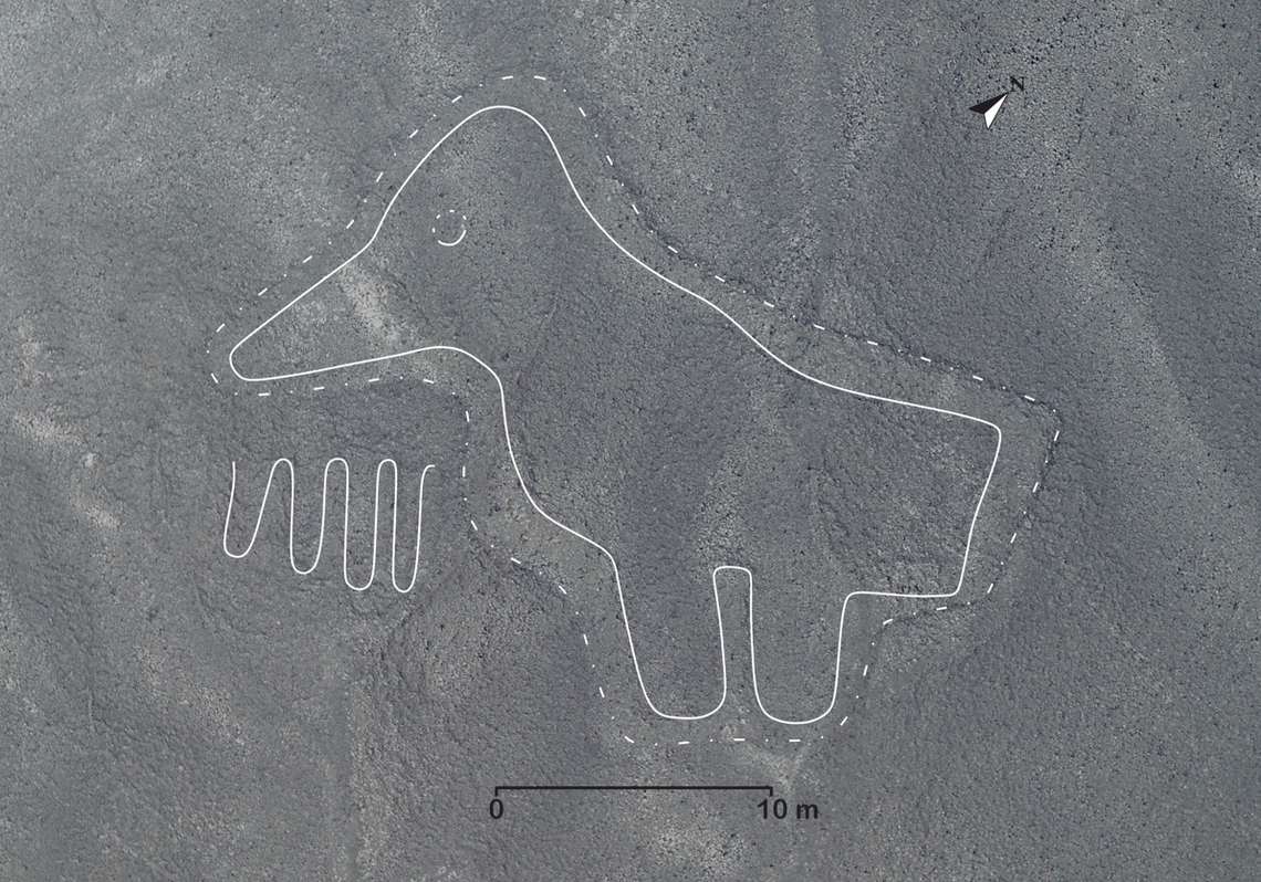 A bird geoglyph.