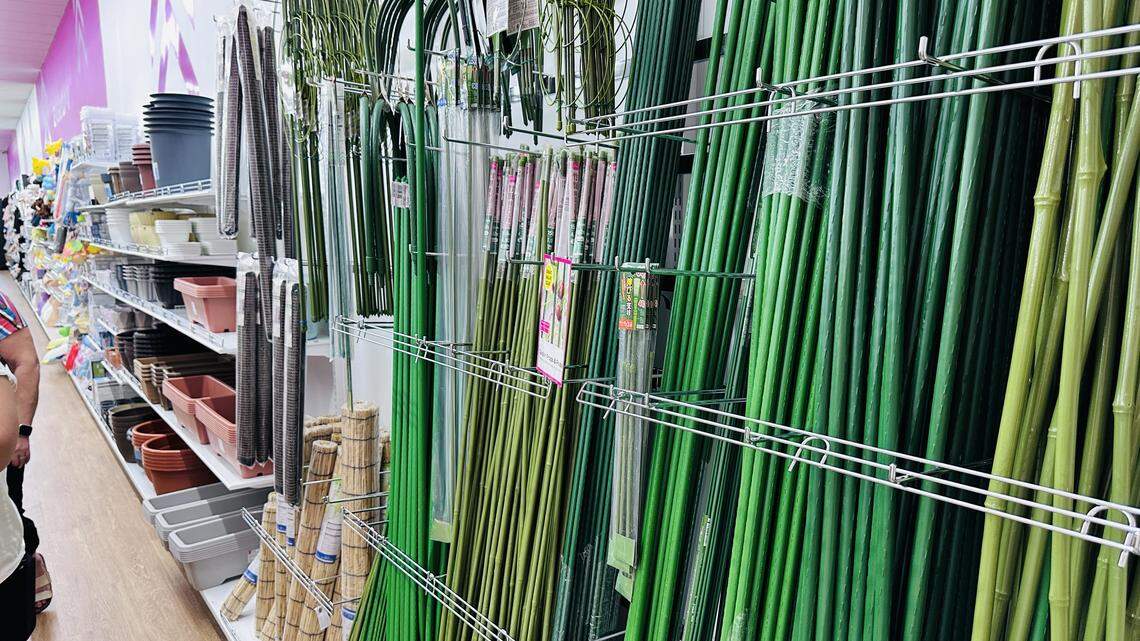Gardening supplies at the new Kendall Higate Square Daiso on grand opening week of Feb. 19, 2026.