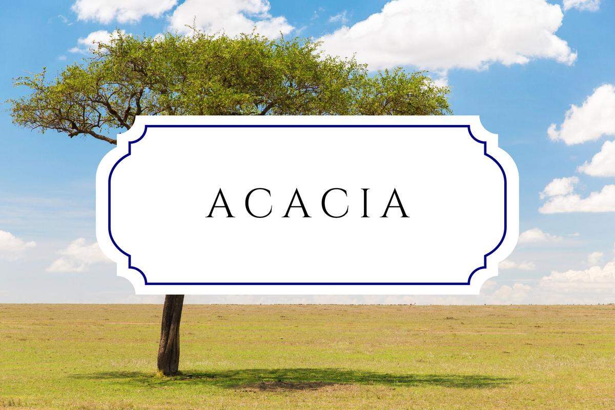 botanical baby names acacia