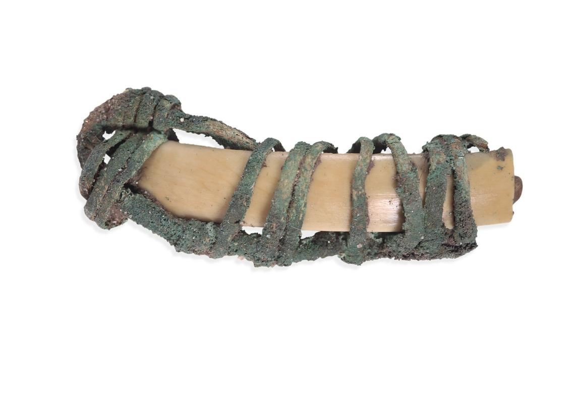 A mounted animal tooth found in the well.