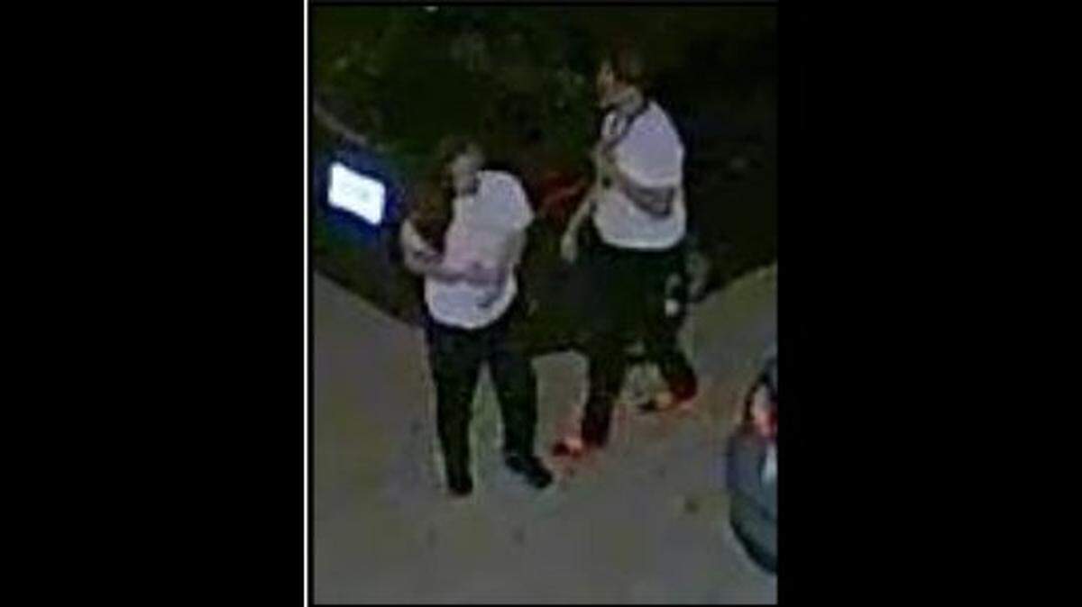 A surveillance video still of Davie police’s two suspects in an Aug. 21 purse theft.