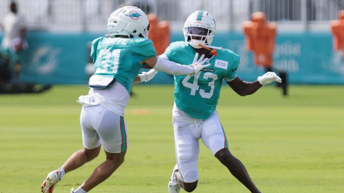 Dolphins Stock Report (Day 7): Safety unit plagued by injuries
