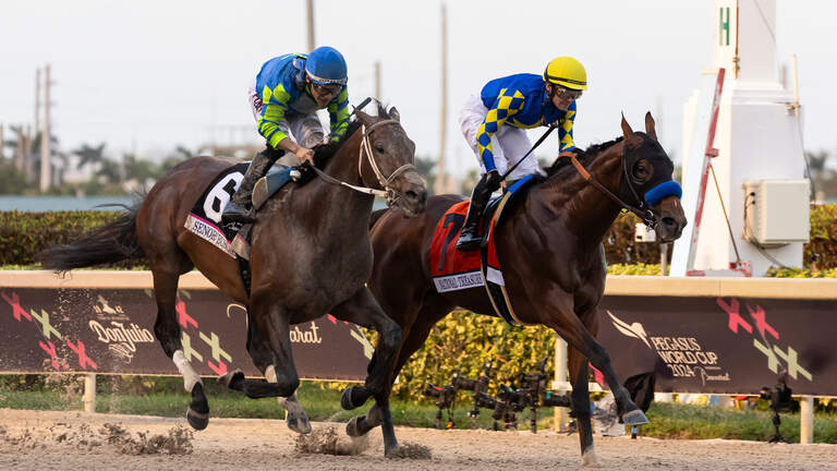 Photo Gallery: Pegasus World Cup Invitational | Saturday, Jan. 27, 2024