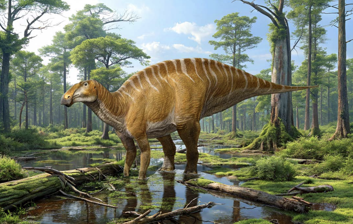 The new species of hadrosaur was a gentle giant, weighing as much as 9 tons.