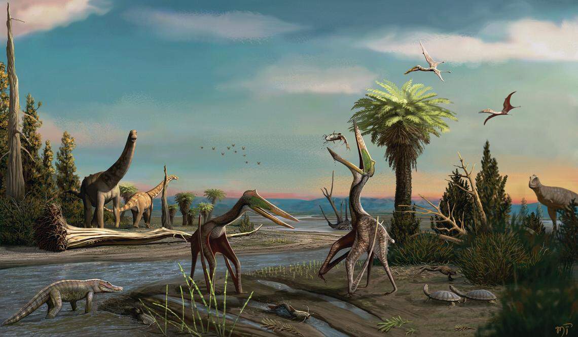 The ancient species likely had a wingspan between 13 and 16 feet long.