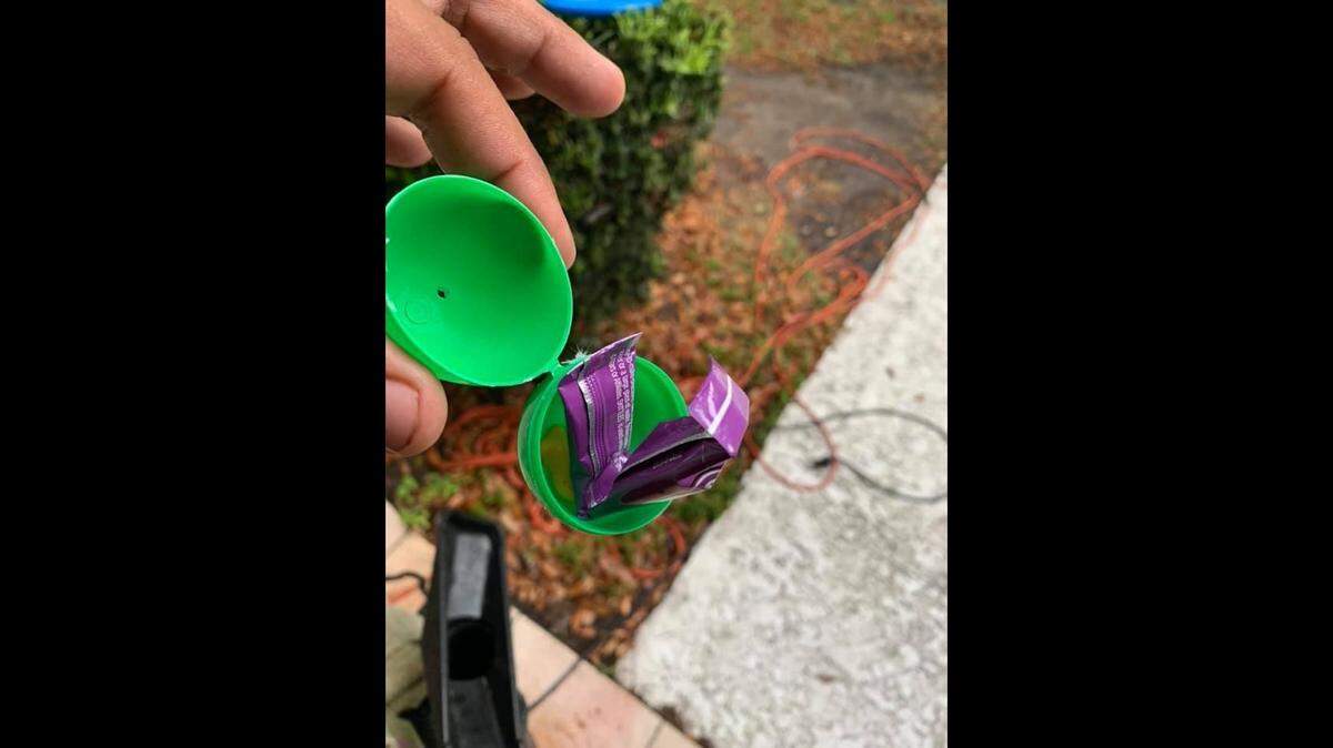 Several Flagler County residents discovered pornography-filled, plastic Easter eggs on Palm Sunday. Deputies are trying to figure out who put them there.