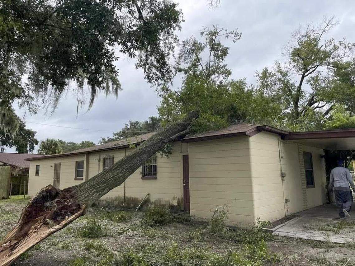 A tree is seen on top of Barbara Glover’s home after it fell during Hurricane Ian last year.