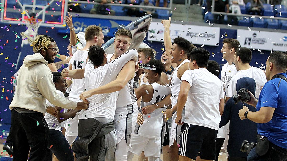The Nova Southeastern University’s Sharks celebrate their 89-74 victory against the Lynn University’s Knights to win the NCAAD second division south region championship at the Rick Case Arena, at the Nova Southeastern University on Tuesday, March 19, 2019.