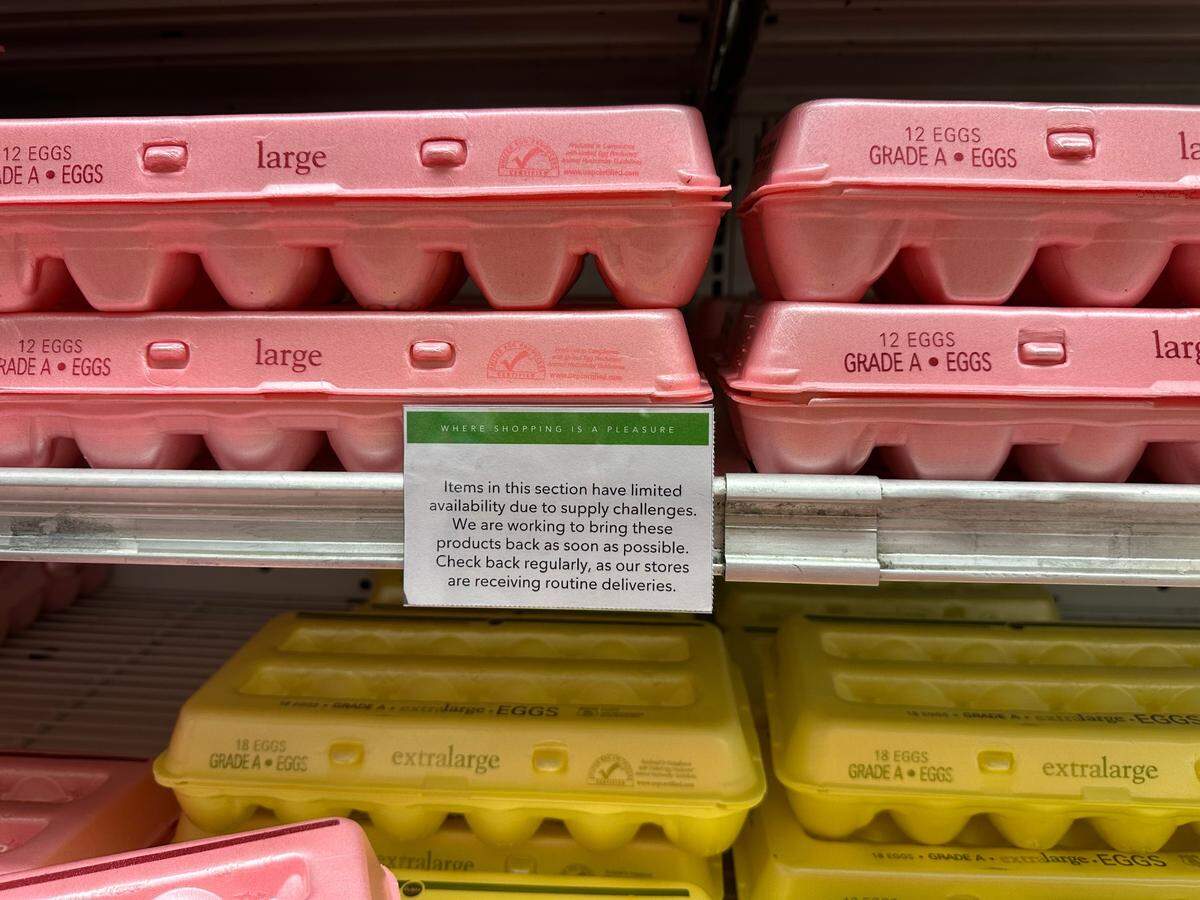 Publix egg section on Feb. 4, 2025, showed evidence of the shortage. This is the Palms Town and Country location in Kendall.