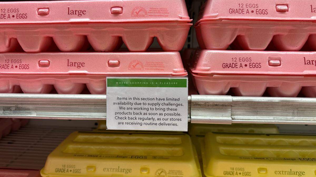 Foto de archivo. El precio de los huevos en Estados Unidos aumentaron el mes pasado hasta llegar a un máximo histórico de $6,23 por docena, de acuerdo con la Oficina de Estadísticas Laborales.