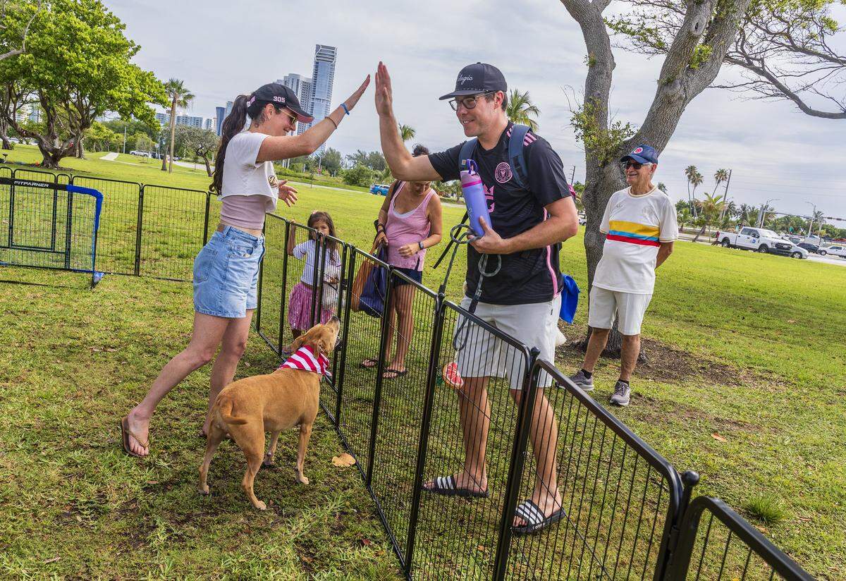 Maddie Kaufman and Dalton Wesley hi fives as their dog Bouy, a Staffordshire Terrier, representing USA team scores a goal, during the “World Pup” for Miami's dogs and soccer fans, Inspired by the Super Bowl's Puppy Bowl and just in time for Miami's 2026 Soccer World Cup matches, hosted by Miami-Dade County & Debris Free Oceans, at Haulover Park, in Miami Beach, on Saturday, May 30, 2026.