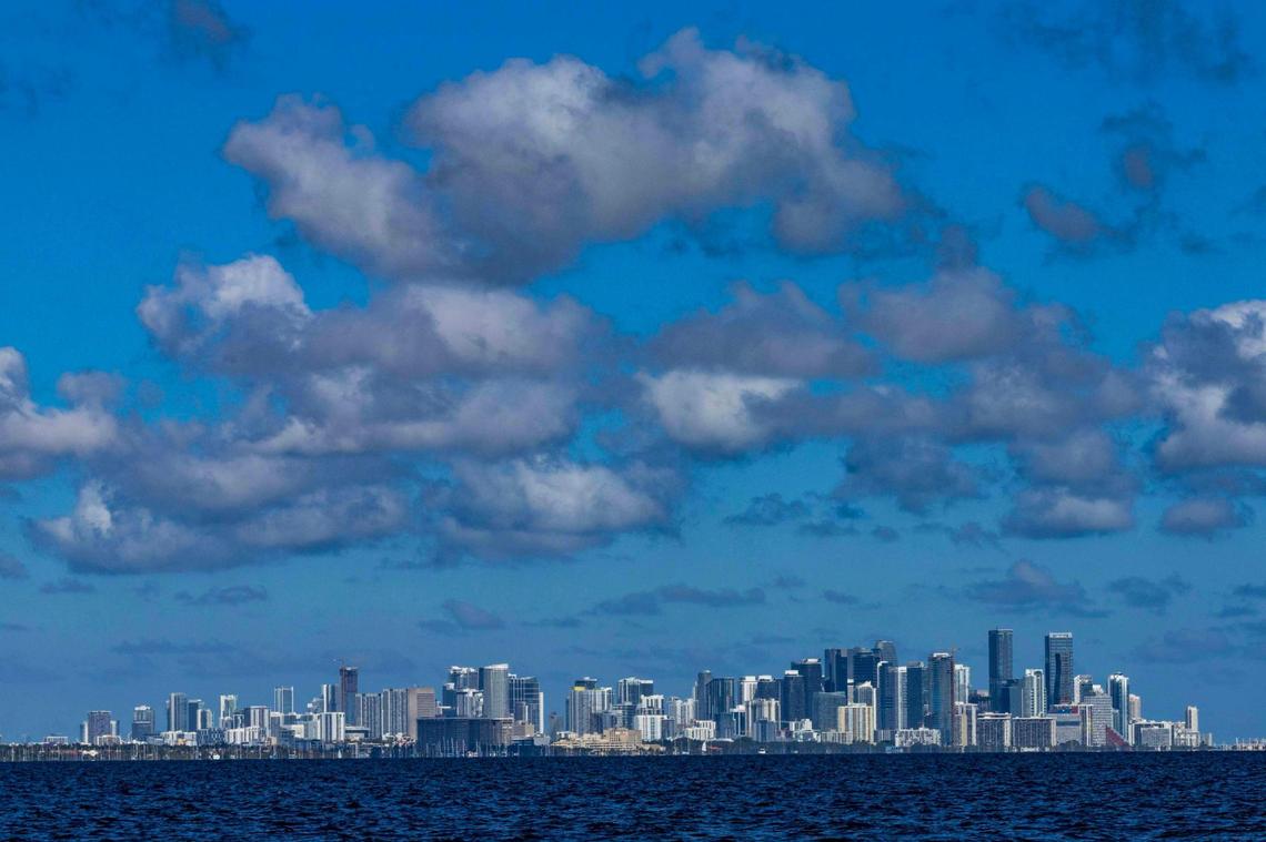 The Miami skyline as seen from Snapper Creek Canal and R. Hardy Matheson Preserve in Coral Gables. The canal flows into Biscayne Bay.