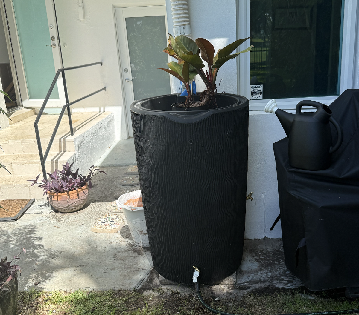 Laurie Davis’ rain barrel collects water from her roof she waters the plants with. 