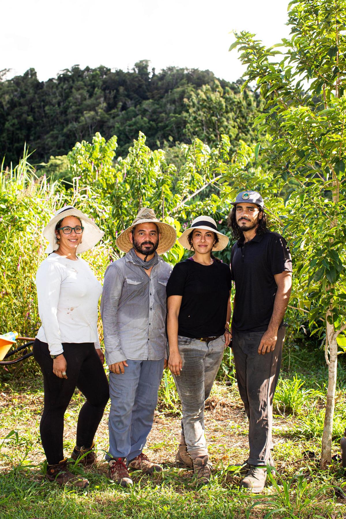 Guaki Collective members, [left to right] Marissa Reyes, Francisco J. Daz, Stephanie Monserrate and Jan Poul Lebron, pose for a portrait at the farm after a day of work in Dorado, Puerto Rico, on Sept. 19, 2021.