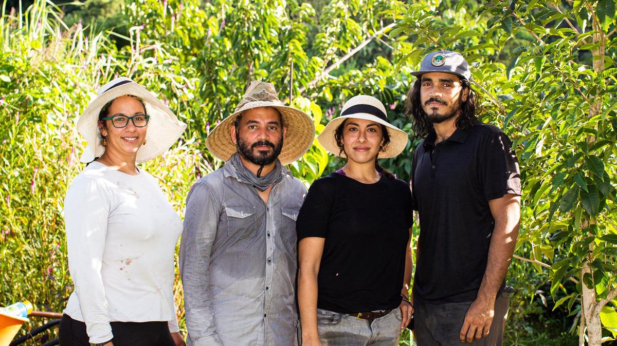 ‘A national call for food production:’ Sustainable farming seeks revolution in Puerto Rico