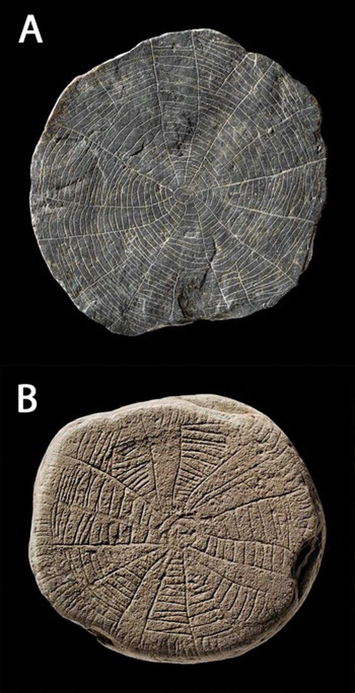 Hundreds of sun stones have been discovered with a variety of artistic depictions.