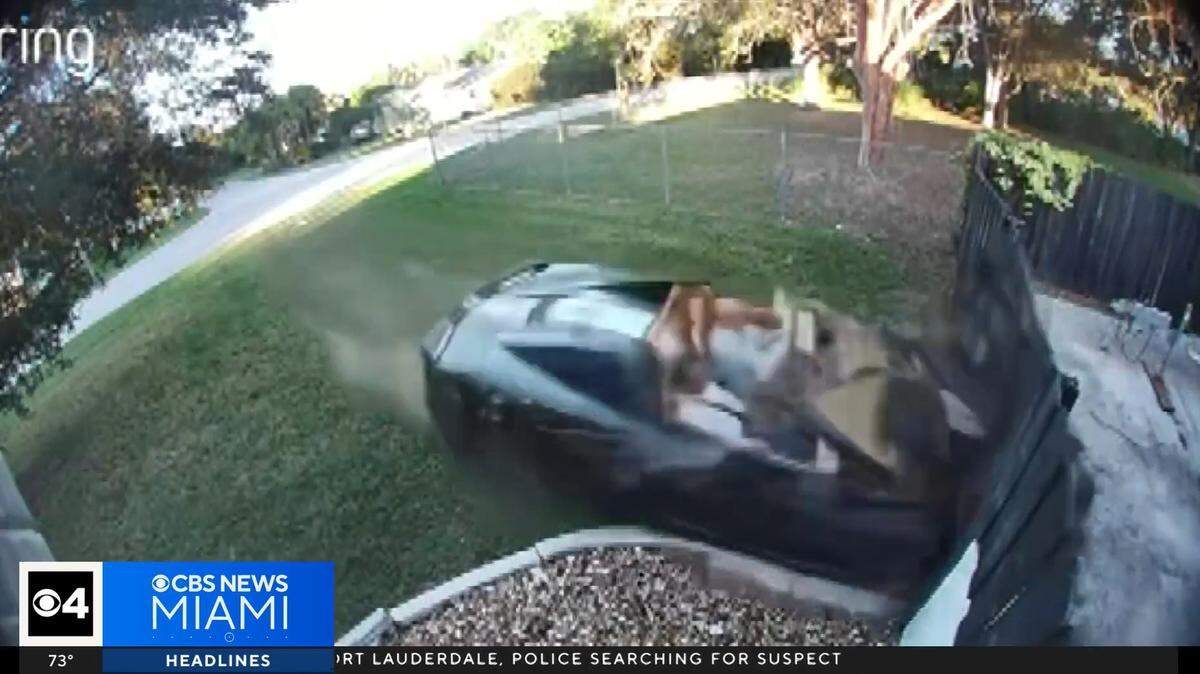 Surveillance footage captured the moment a Corvette drove through a family’s fence in Palmetto Bay.