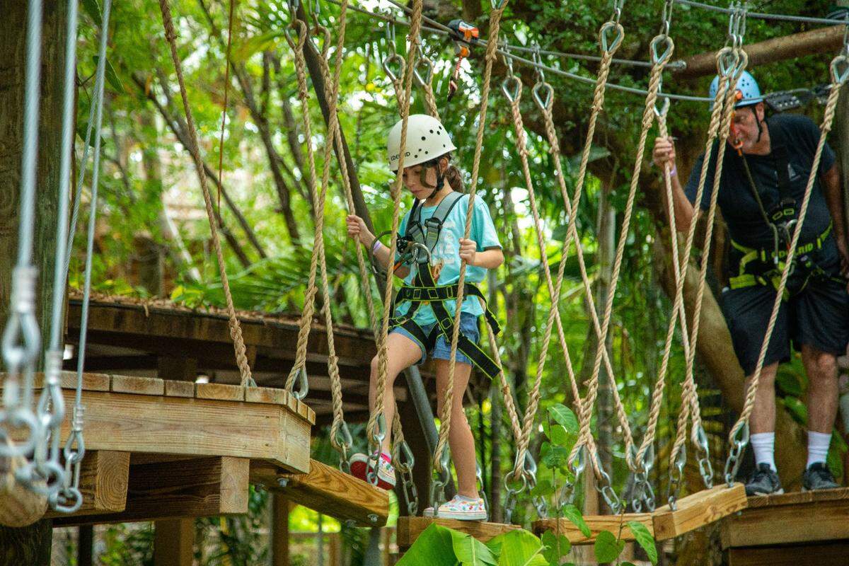 Treetop Trekking Miami aerial zipline adventure park on on Watson Island