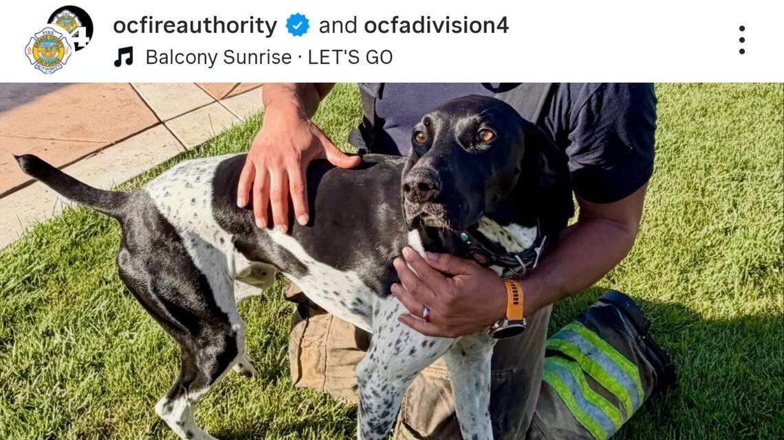 firefighter fillmore orange county fire authority