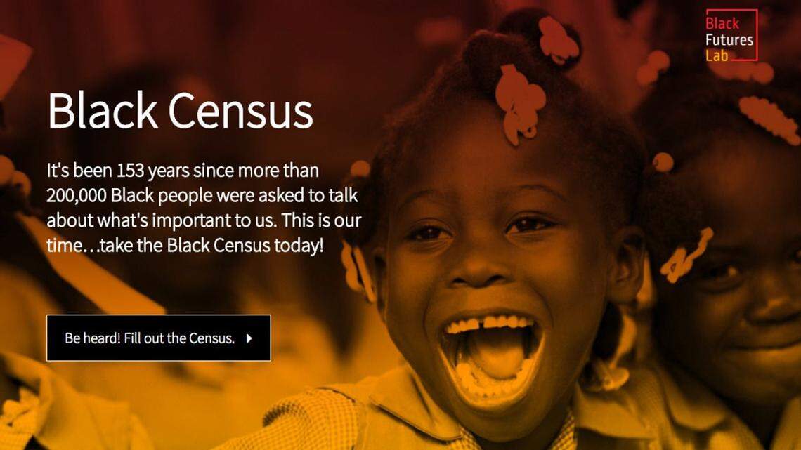 Website for the Black Census Project