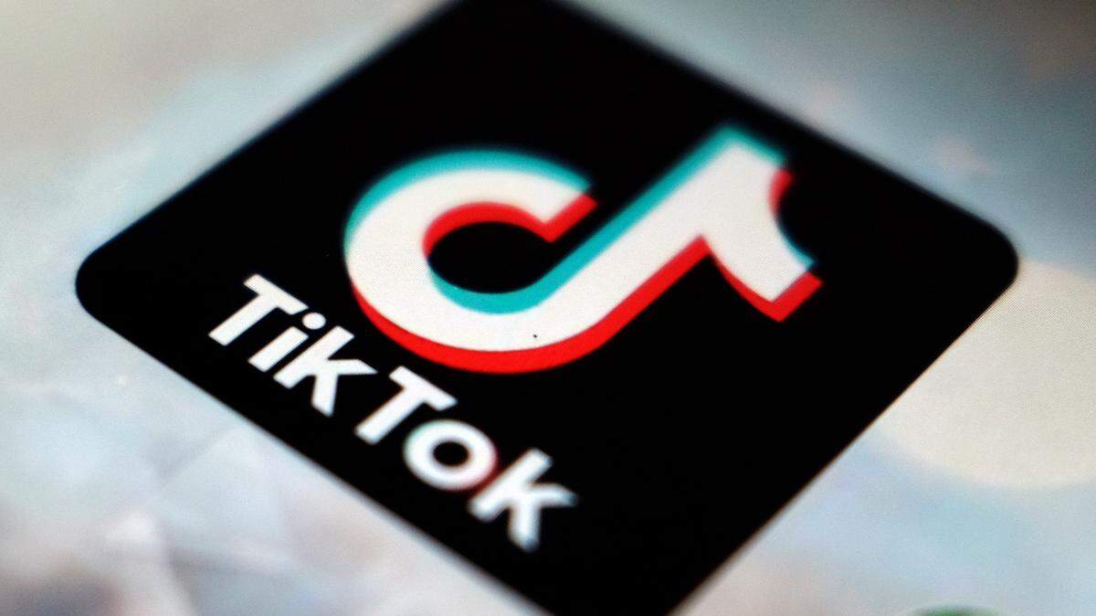 From adorable animals to children saving family businesses, sit back and take in the wonderful world of TikTok. (AP Photo/Kiichiro Sato, File)