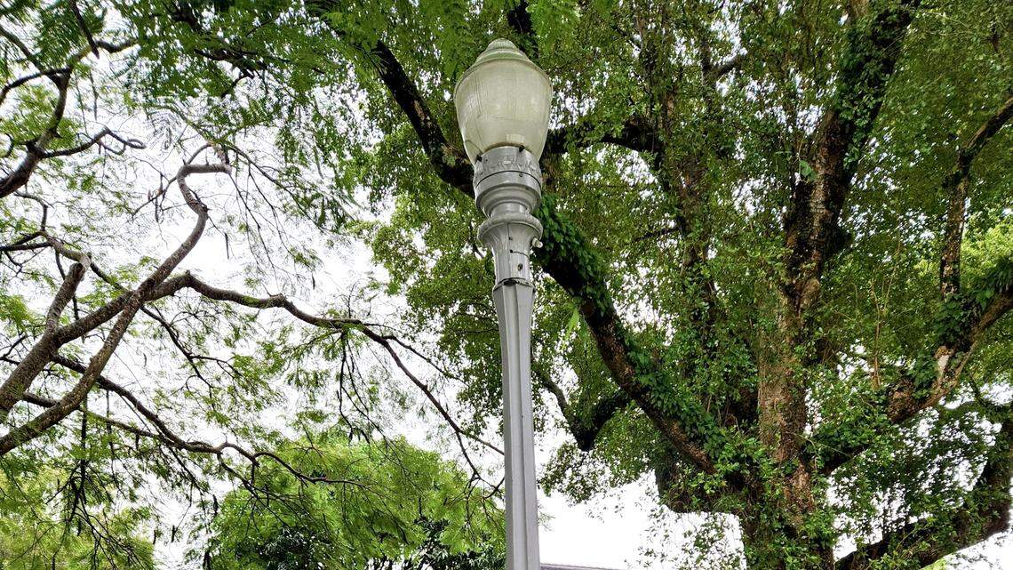 Herald endorsement: Coral Gables Referendum 7 | Opinion