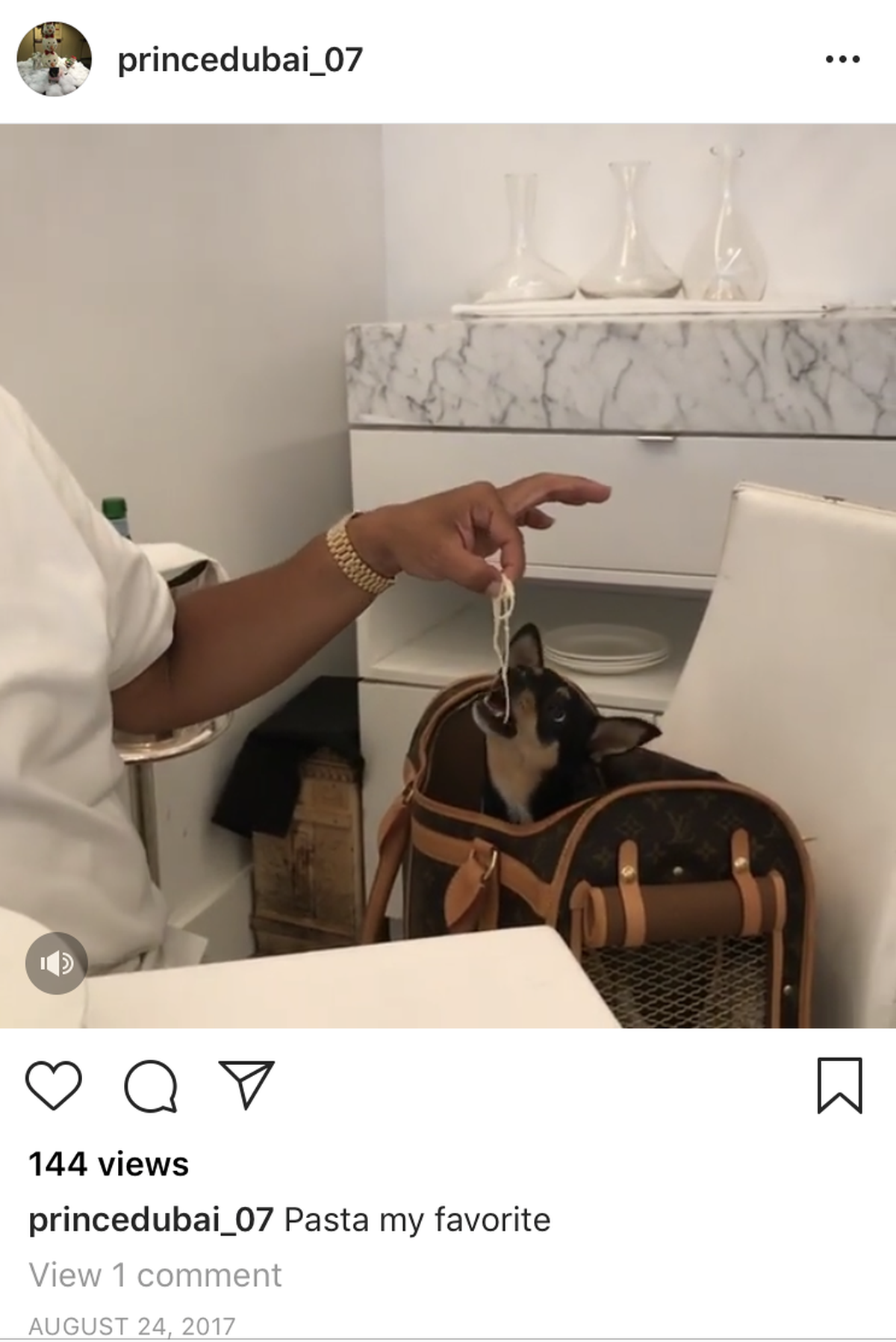 A screenshot of the Instagram account belonging to Anthony Gignac, who posed as a Saudi prince for years. Here, he feeds his pet dog, Foxy.
