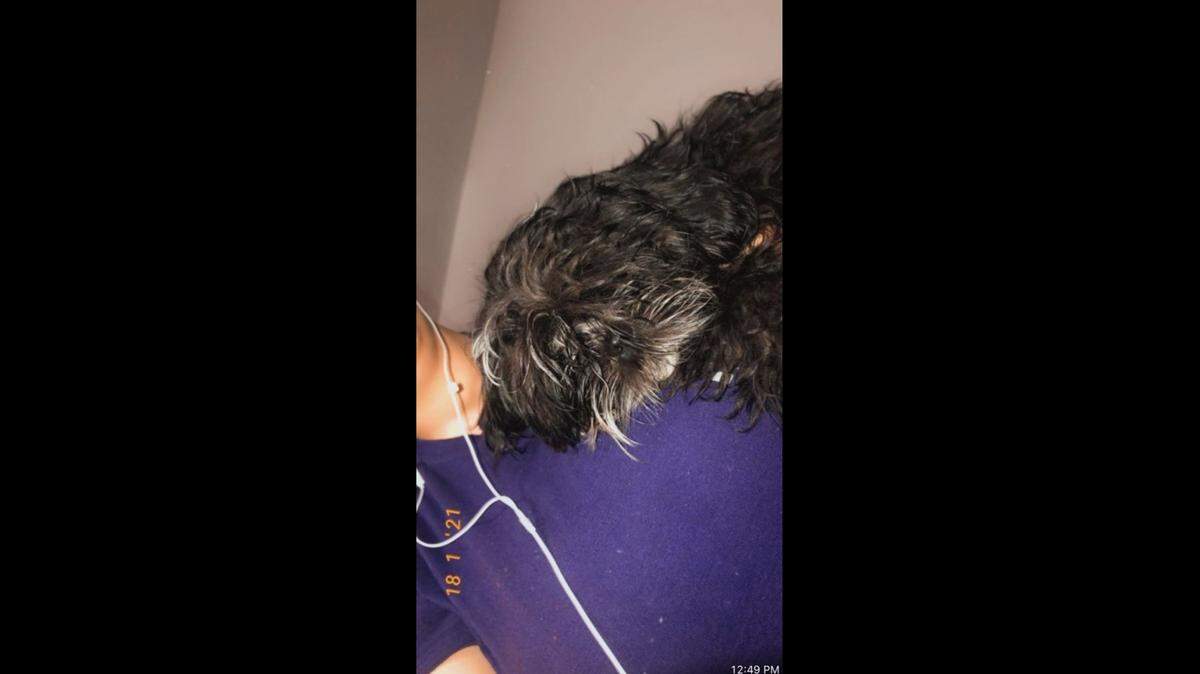 Binnie, a black Shih Tzu puppy, was stolen from an apartment complex in Boca Raton on June 21, 2021, according to the Palm Beach County Sheriffs Office. Binnie was returned to its owner weeks later.