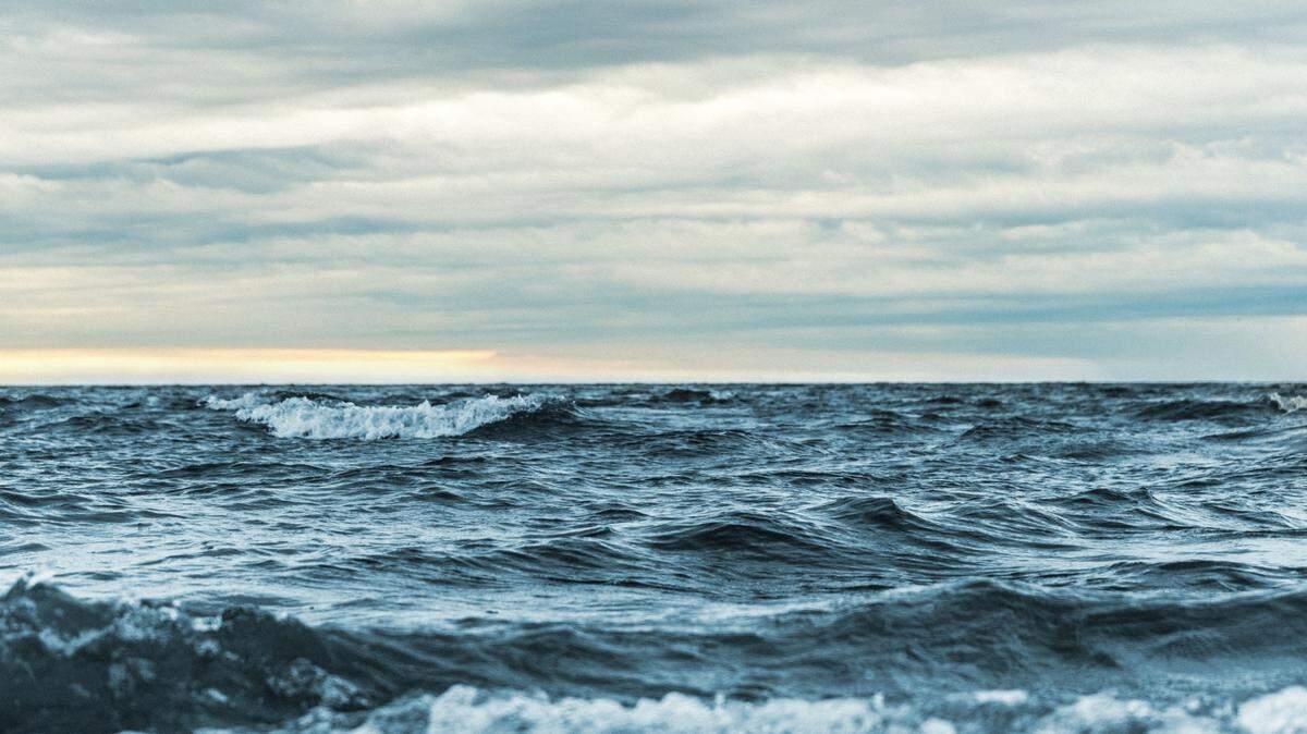 A trio of sea creatures were spotted swimming together in Iceland, according to witnesses.