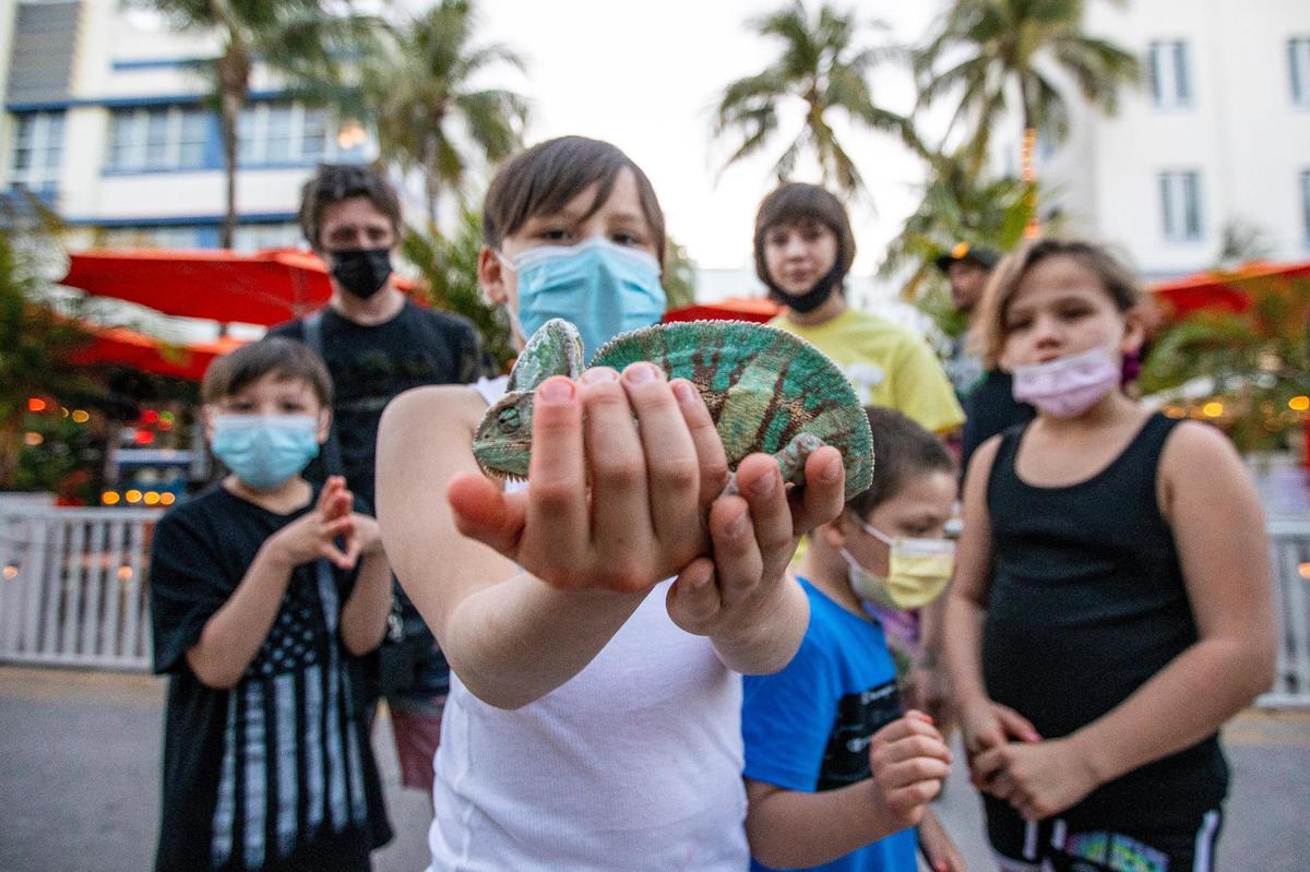 Minnesota spring breaker Christian Rosa, 6, holds a chameleon on Ocean Drive in Miami Beach, Florida, on Tuesday, March 23, 2021. The friends and family left Staten Island to celebrate birthdays. Christian is accompanied by 18 family members while on vacation in Miami.