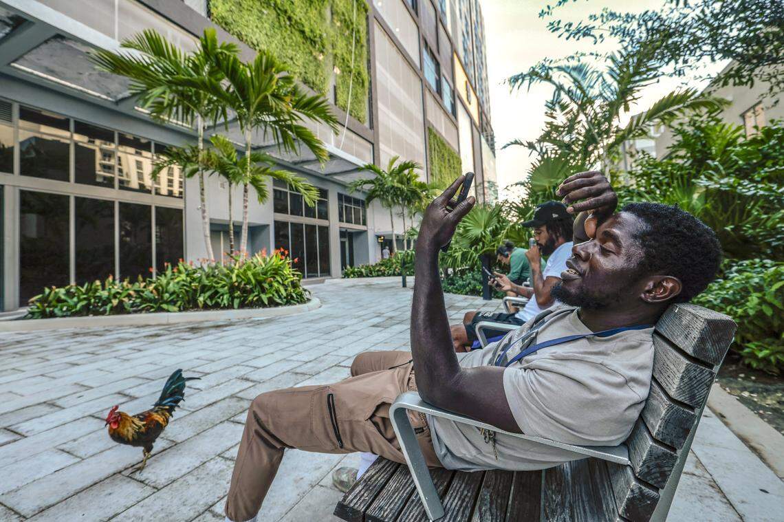 A roster walks by as Information Technolgy contractor Siyaka Yakubu takes a break from work outside The Residences at Sawyer's Walk at 249 NW 6th Street in the Overtown area of Miami, FL, on Wednesday, October 15, 2025.