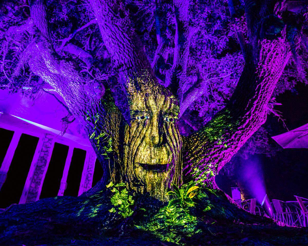 The ever-patient Archie the Talking Tree will be back in 2022 to answer your child’s endless questions.