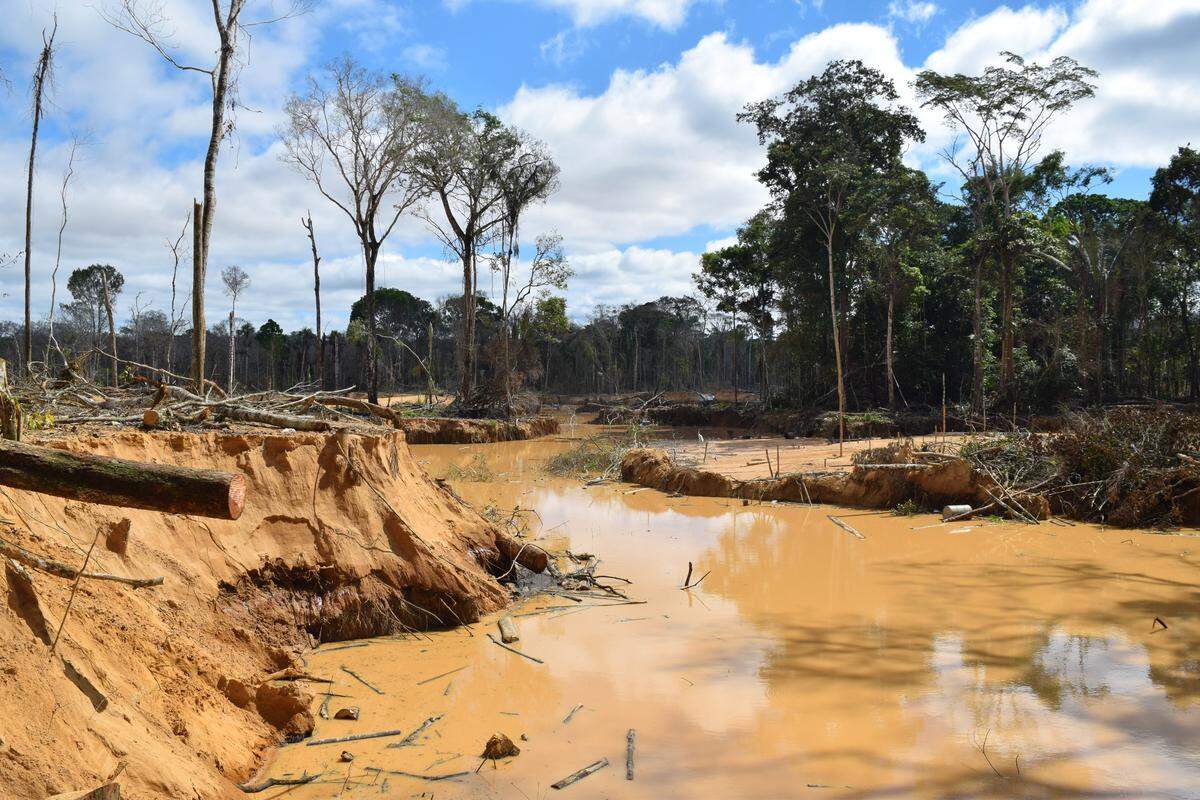 After Peruvian authorities shut down one of the country’s largest illegal gold mines, La Pampa, earlier this year, informal and illegal miners have been encroaching on new areas, like this one in southeastern part of the country. This newly opened gold field was, until recently, Amazon forest.
