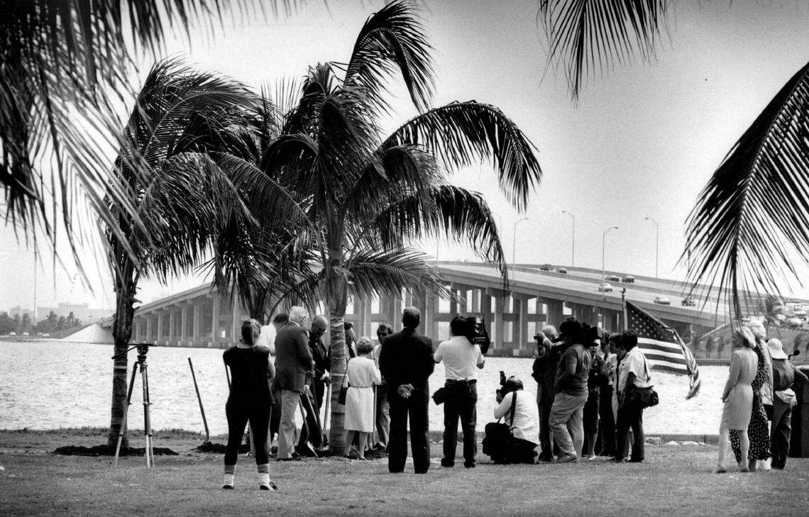 The Julia Tuttle Causeway provides a backdrop for the new park trees in 1991.
