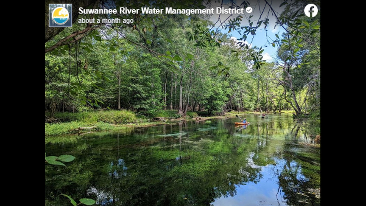 Suwannee River in Hamilton County.