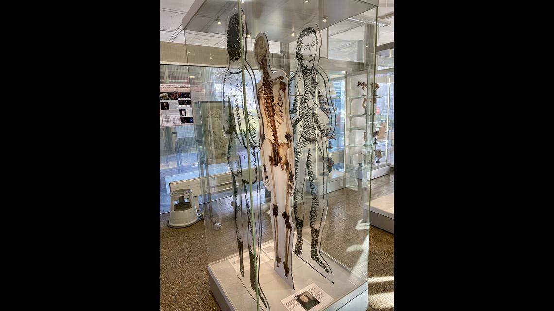 The skeleton of a famed outlaw held in a museum for 220 years was misidentified, new research shows.