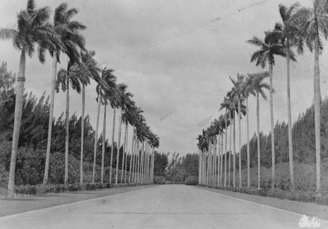 Hialeah Park in 1938.