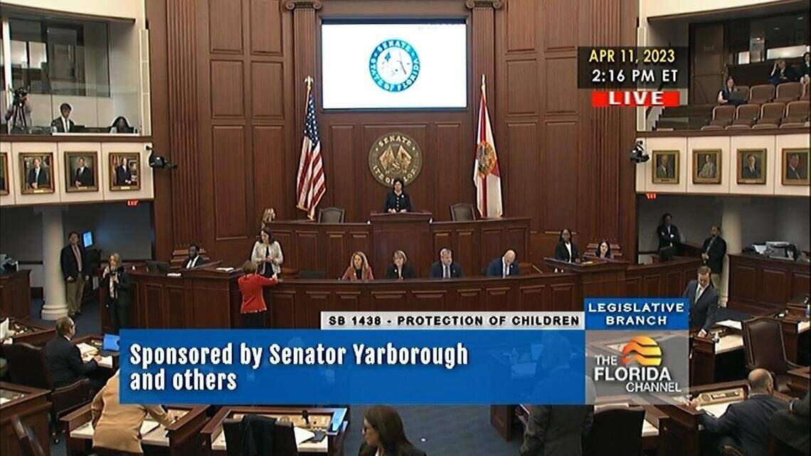 Watch for yourself: Florida Senate debates, then passes drag show bill