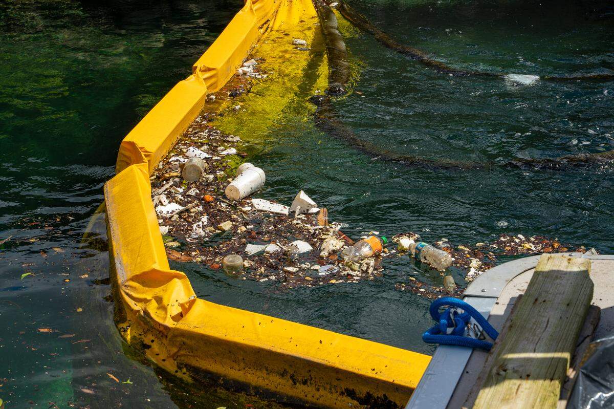 A solo volunteer netted this trash in a Coral Gables waterway. Residents are urged to join the Great American Clean-Up Season until June 20. The contest has prizes for most litter collected.