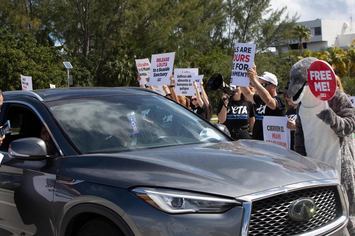 A “crying dolphin” will lead a coalition of PETA supporters in urging Miami-Dade County to shut down the Miami Seaquarium after a new federal inspection report just obtained by PETA documented employees’ practice of starving dolphins into submission and forcing them to perform more often, causing them to attack trainers and bite visitors out of sheer stress; at The Miami Seaquaroum, Key Biscayne on Saturday 29th., 2022.